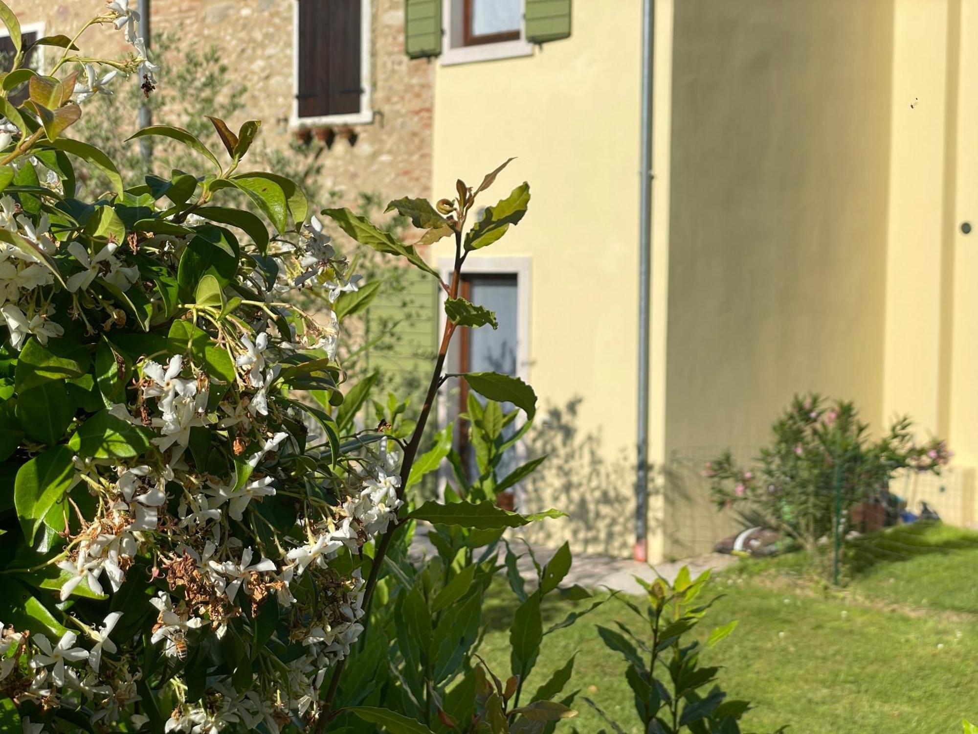 Casa Carlotte - Lago Di Garda Lazise Exteriér fotografie
