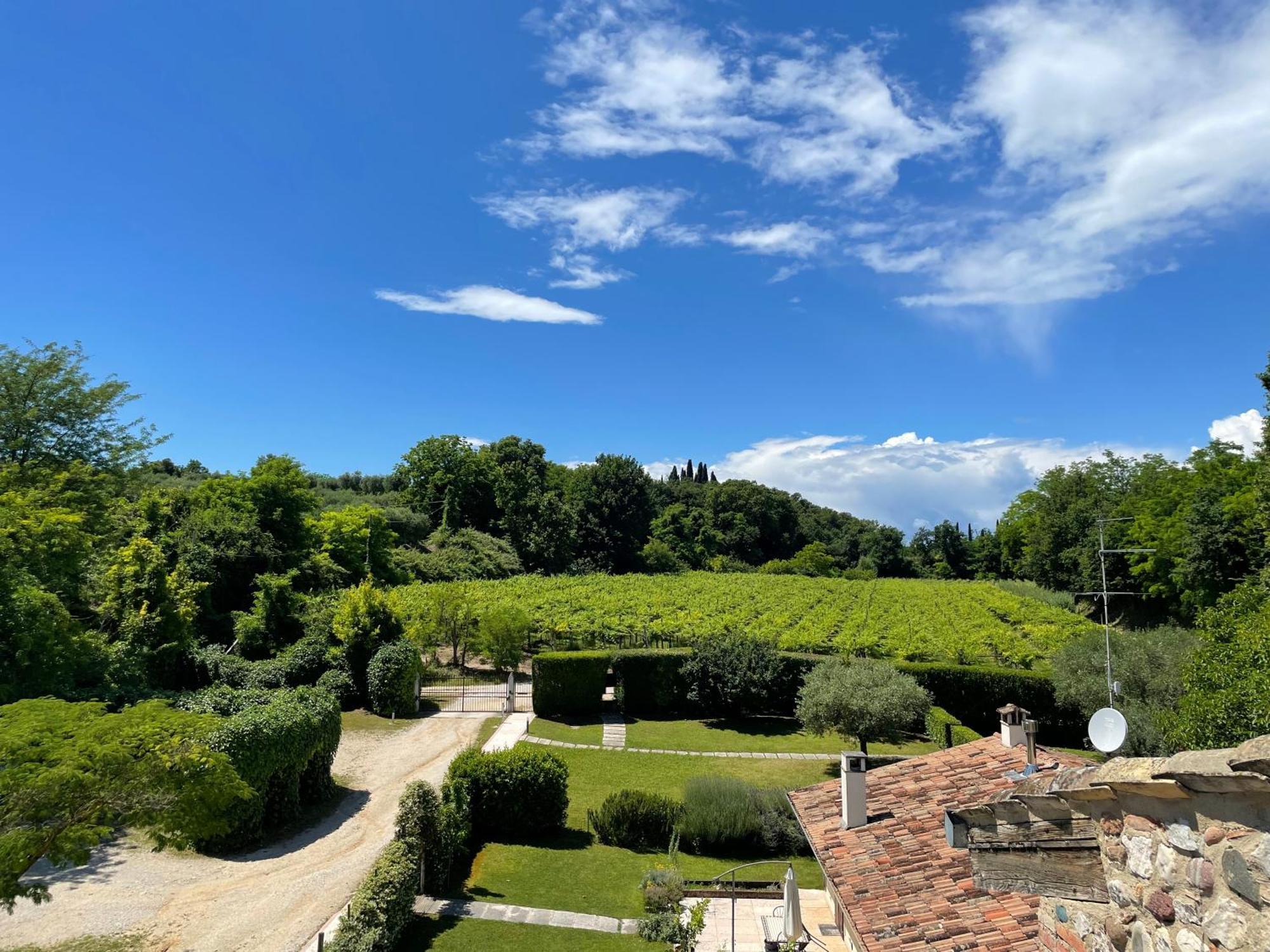 Casa Carlotte - Lago Di Garda Lazise Exteriér fotografie